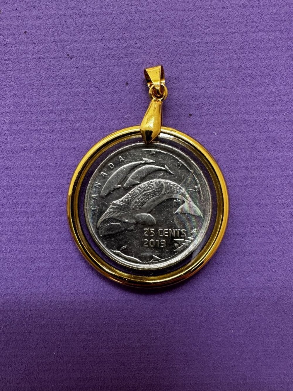 Canadian Whale Coin Resin Pendant Necklace 2013 Canada 25 cents